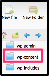 wp-content folder