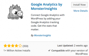 Google Analytics Monster Insights