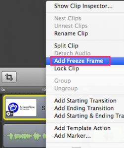 Freeze frame 2