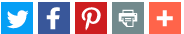 social media buttons Icons with Pinterest
